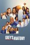 Nonton Streaming Download Drama Nonton Grey’s Anatomy Season 16 2019 Sub Indo Subtitle Indonesia