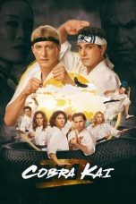 Nonton Streaming Download Drama Nonton Cobra Kai Season 6 2018 Sub Indo Subtitle Indonesia