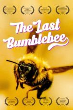 Nonton Streaming Download Drama Nonton The Last Bumblebee 2024 Sub Indo JF Subtitle Indonesia